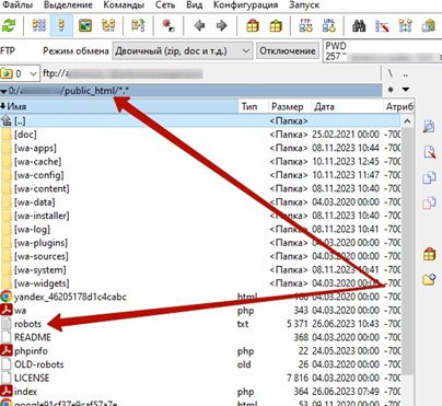 Пример проверки наличия-загрузки файла robots.txt с помощью FTP-клиент